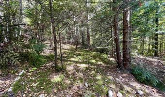 00 Marshall Newland Rd, Burke, VT 05832