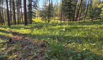 Nhn Profile Rock, Alberton, MT 59820