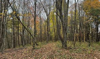 Tbd Rominger Road, Banner Elk, NC 28604