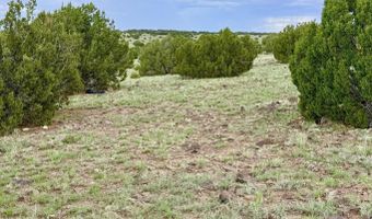 129 Co Rd 8051, Concho, AZ 85924