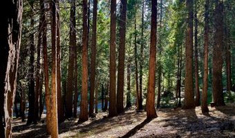 3285 Pocatello Cir, Camp Connell, CA 95223