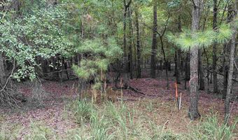 0 Little Saluda Ln, Batesburg, SC 29006