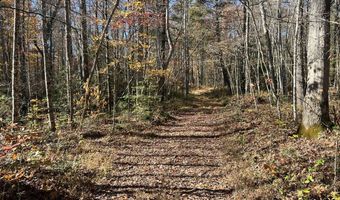 523 Honey Creek Loop Rd, Allardt, TN 38504