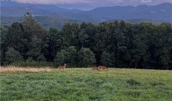 Site D Chappell Farm Road, Banner Elk, NC 28604
