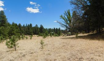 10 N2310, Alpine, AZ 85920