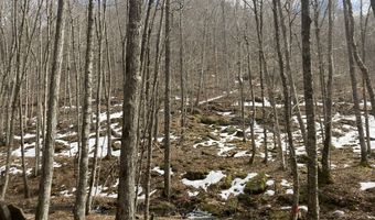 0 TBD Elleber Sods Rd, Bartow, WV 24920