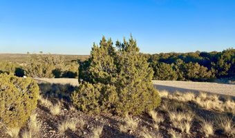 Tbd Co Rd 5062 2.39 Acres, Concho, AZ 85924