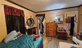 738 W 1st St, Alice, TX 78332