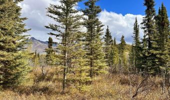 B005 S Packsaddle Road, Chickaloon, AK 99674