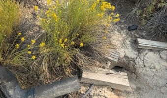 1980 Millard Fillmore Ave, Battle Mountain, NV 89820