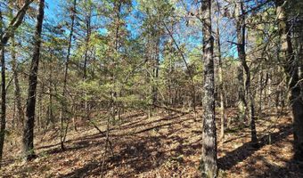 TBD Raw Land, Bates, AR 72958