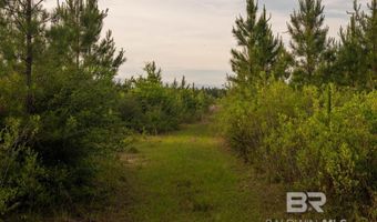 Flowers Road, Bay Minette, AL 36507