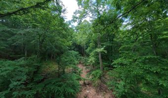 County Road 200, Alton, MO 65606