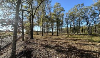 10 43ac CR 193, Blue Springs, MS 38828