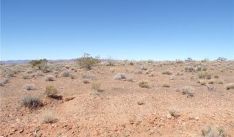 308-22 395 N Palo Verde Dr, Chloride, AZ 86431