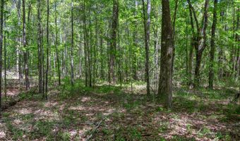 Hwy 160, Benton, LA 71006
