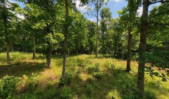 County Road 200, Alton, MO 65606