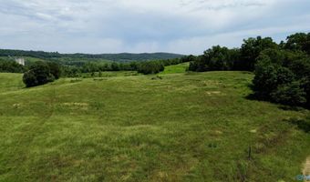 120 Carnes Chapel Rd, Attalla, AL 35954