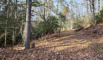 290 Angels Pass Dr Lot 1, Bastian, VA 24314