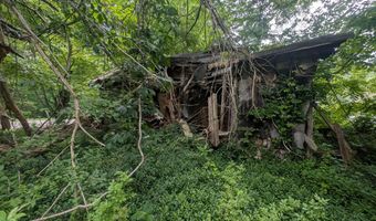 Mt Helen Rd, Allardt, TN 38504