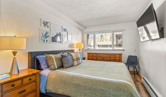 210 E Cooper Ave 1-C, Aspen, CO 81611
