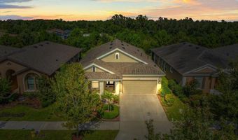 6130 COLMAR Pl, Apollo Beach, FL 33572