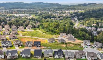 10623 Flicker Way, Apison, TN 37302