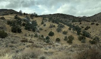 00432147 APN 004-321-47 Trwy, Dayton, NV 89403