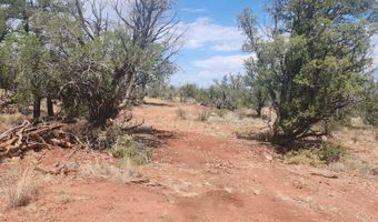 488 B & C Scorpion, Ash Fork, AZ 86320
