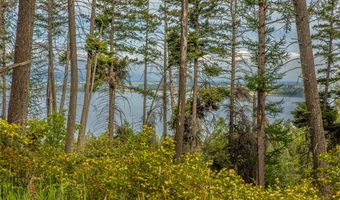 338 Flathead Lodge Rd, Bigfork, MT 59911