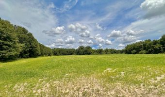 0 Antioch Church Rd, Ashford, AL 36312