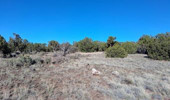 68 N 8171, Concho, AZ 85924