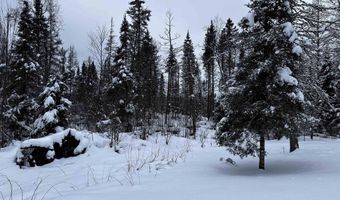 15865 THRASHER Rd, Alvin, WI 54542