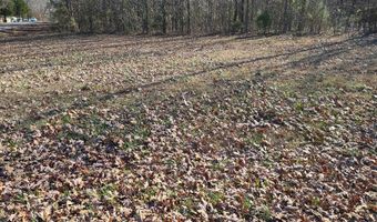 Shore Drive, Big Sandy, TN 38221