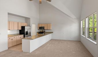 711 Evans Ct, Basalt, CO 81621