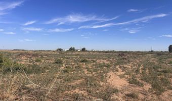 E of 356 Brantley Road, Carlsbad, NM 88220