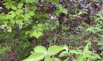 Hillsboro Street, Berlin, NH 03570