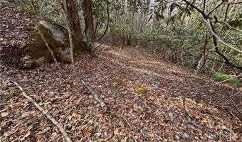 2438 Kellersville Rd, Banner Elk, NC 28604