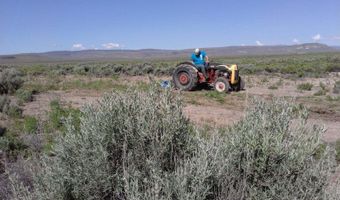 066-070 60 Dry Gulch 1, Gerlach, NV 89412
