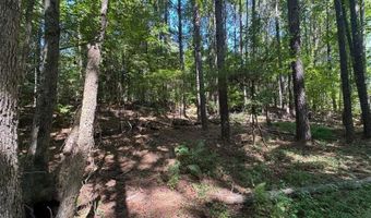 63 Hickory Crk, Acworth, GA 30101
