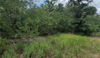 8748 NE JACKSONVILLE Rd, Anthony, FL 32617
