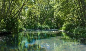 1104 UPPER COW CREEK Rd, Azalea, OR 97410