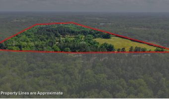 23826 Opine Rd, Andalusia, AL 36421