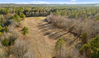 343 Co Rd 814, Flat Rock, AL 35966