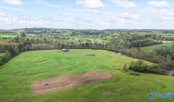 435 Sneadview Rd, Altoona, AL 35952