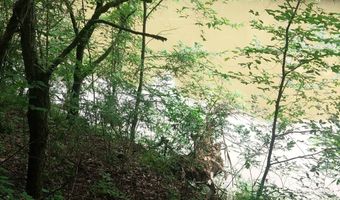 468 Adams Rd, Ardmore, TN 38449