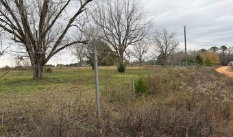County Road 91, Banks, AL 36005