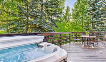 593 Meadowood Dr, Aspen, CO 81611