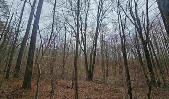 13 Toney Drive, Altoona, AL 35952