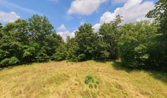 County Road 200, Alton, MO 65606